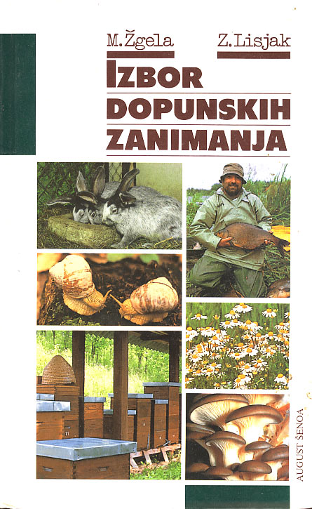 Izbor dopunskih zanimanja