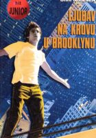 Ljubav na krovu u Brooklynu
