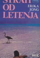 Strah od letenja