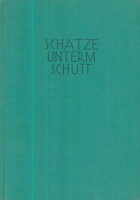 Schätze unterm Schutt