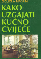Kako uzgajati kućno cvijeće