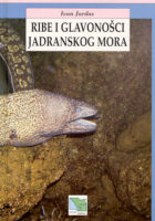 Ribe i glavonošci jadranskog mora