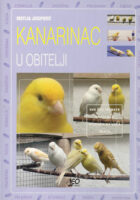 Kanarinac u obitelji
