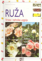 Ruža - vrste i tehnike uzgoja