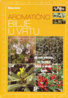 Aromatično bilje u vrtu