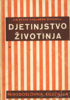 Djetinjstvo životinja