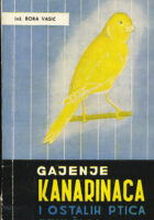 Gajenje kanarinaca i ostalih ptica pevačica