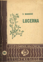 Lucerna