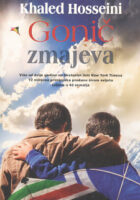 Gonič zmajeva