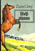 Divlji plamen