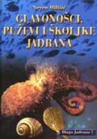 Glavonošci, puževi i školjke Jadrana