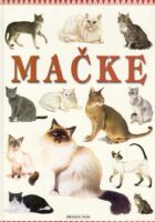 Mačke
