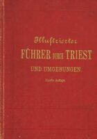 Illustrierte führer durch trieste