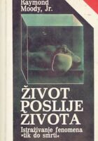 Život poslije života