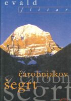 Čarobnjakov šegrt