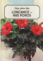 Moje sobno bilje, Lončanice - naš ponos