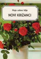 Moje sobno bilje: Novi križanci