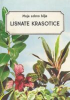Lisnate krasotice
