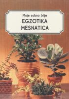 Egzotika mesnatica: sukulenti