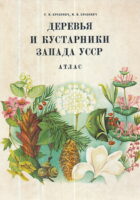 Derevja i kustarniki zapada USSR : atlas
