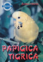 Papigica tigrica