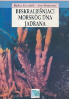 Beskralješnjaci morskog dna Jadrana