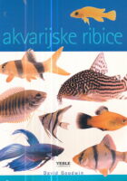 Akvarijske ribice
