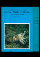 Fauna i flora Jadrana Jabučka kotlina 1-2