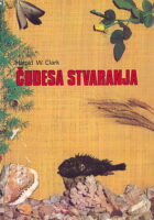 Čudesa stvaranja
