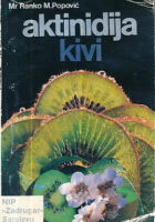 Aktinidija (kivi)