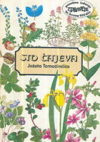 Sto čajeva