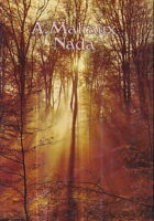 Nada