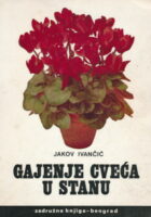 Gajenje cveća u stanu