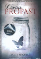 Divna propast