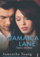 Jamaica Lane: Opasno zavođenje