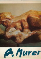 Augusto Murer: mostra antologica (ITA)
