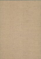 Primitive Painting