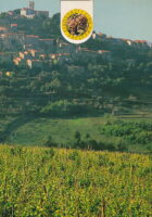 Vinogradi i vina Hrvatske