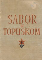 Sabor u Topuskom