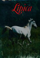 Lipica (eng)