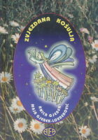 Zvjezdana košulja