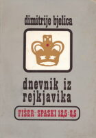 Dnevnik iz Rejkjavika