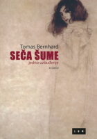 Seča šume