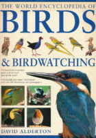 Enyclopedia of Birds & Bird Watching