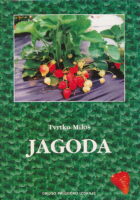 Jagoda
