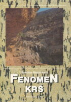Fenomen krš