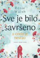 Sve je bilo savršeno, a onda je nestao