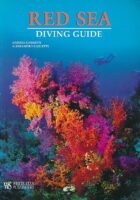 Red Sea : diving guide