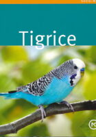 Tigrice