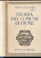 Storia del comune di Fiume